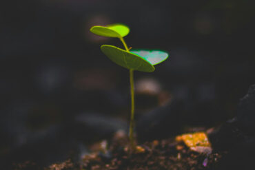 FI - There Is Life in the Way of Righteousness