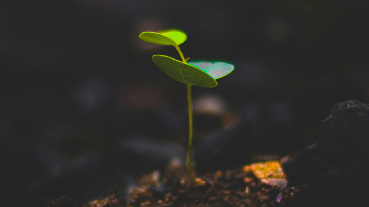 FI - There Is Life in the Way of Righteousness