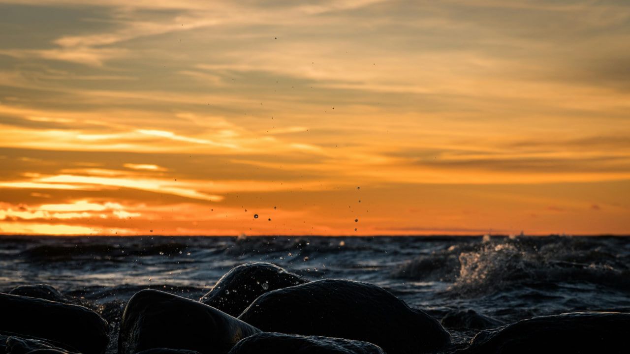 FI - Trade Your Life for Jesus, and You Will Not Encounter Loss