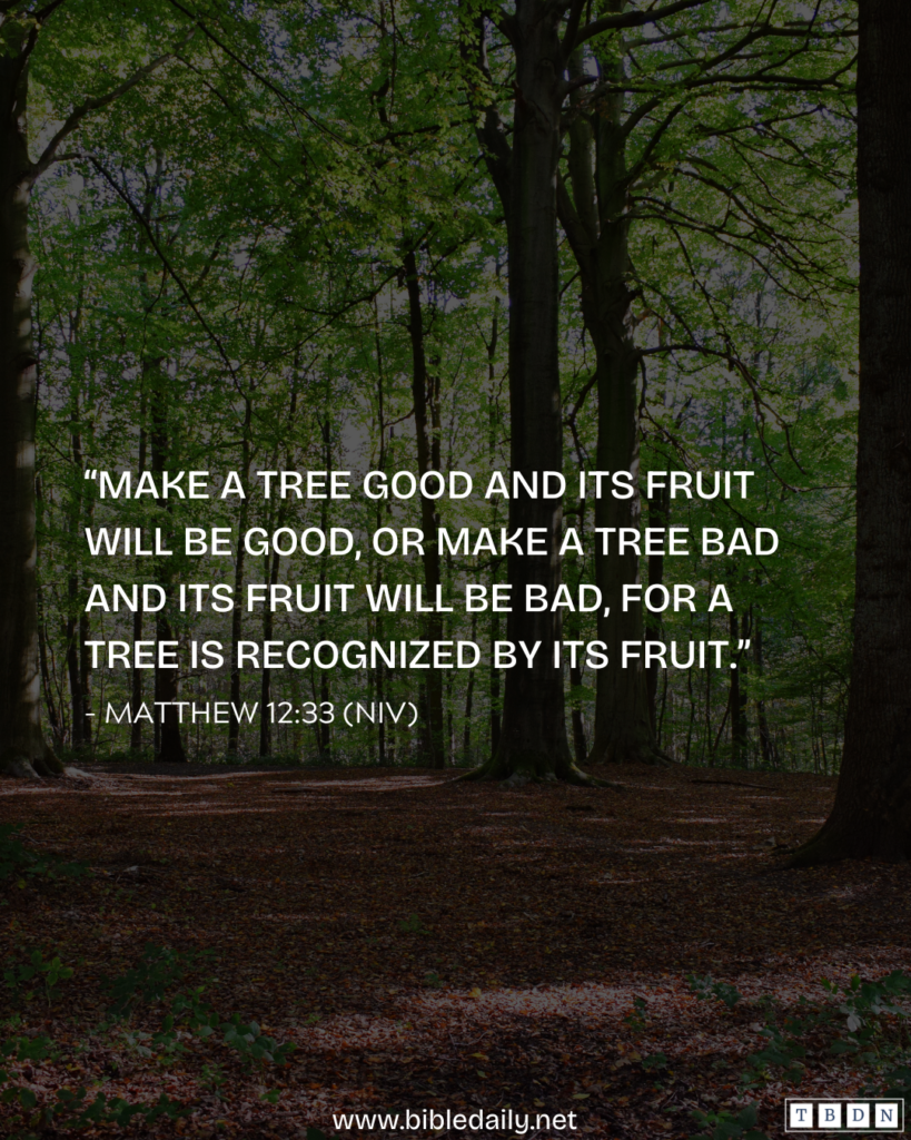 Devotional - A Tree is Recognized by Its Fruit
