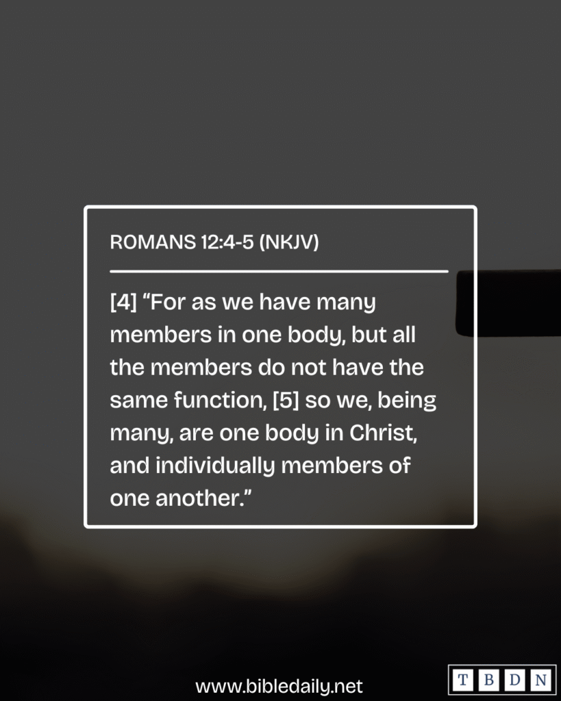 Devotional - Make Meaningful Contributions to the Body of Christ