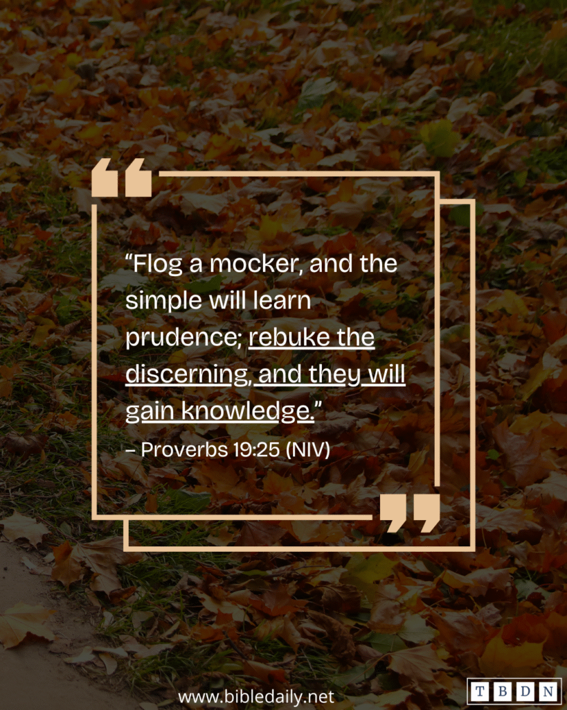 Devotional - Rebuke the Discerning, And They Will Gain Knowledge