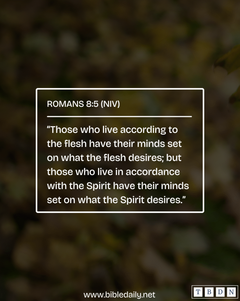 Devotional - Set Your Mind on the Desires of The Spirit
