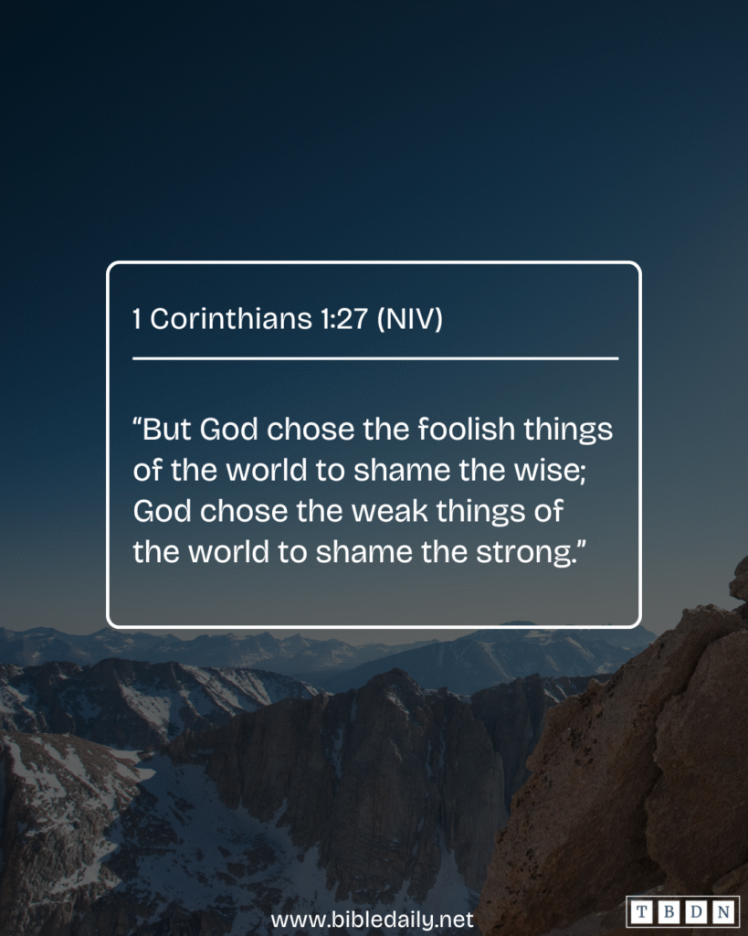 Devotional - God Still Chooses the Foolish Things of the World to Shame the Wise