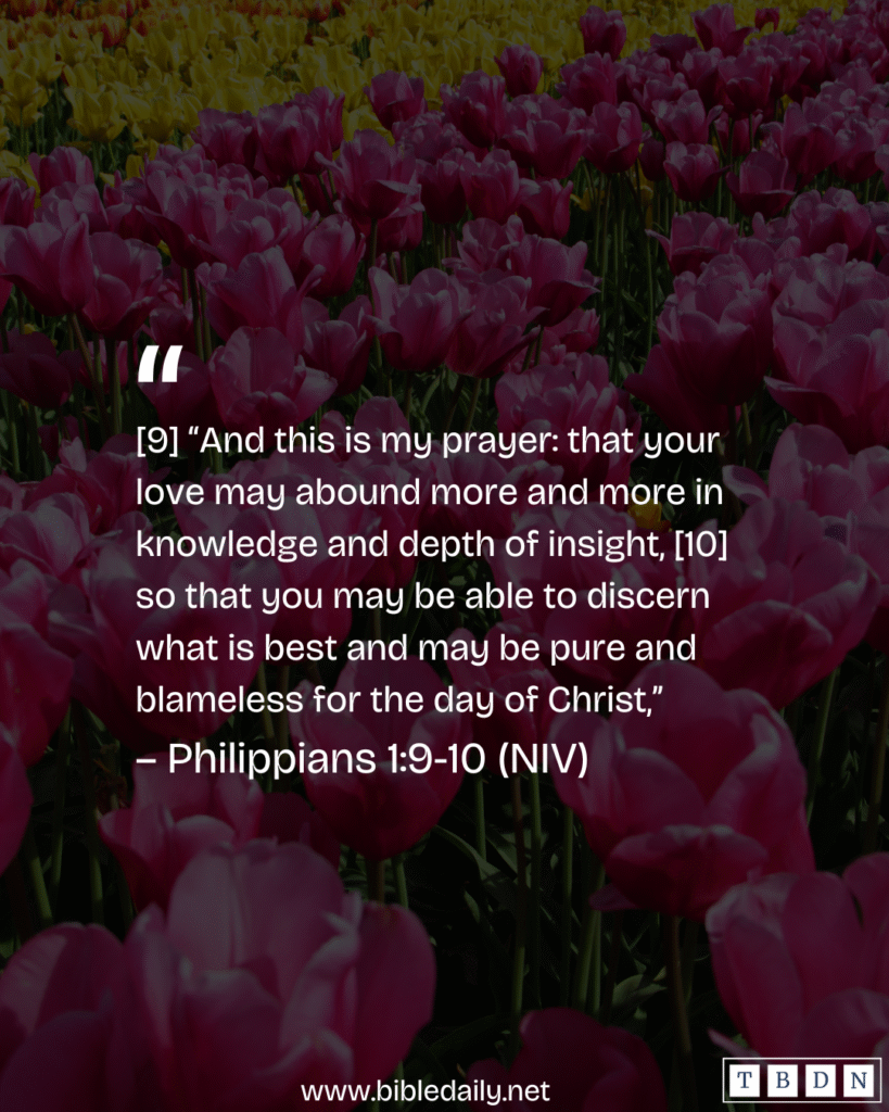 Devotional - Let Your Love Abound More in Divine Knowledge and Depth of Insight
