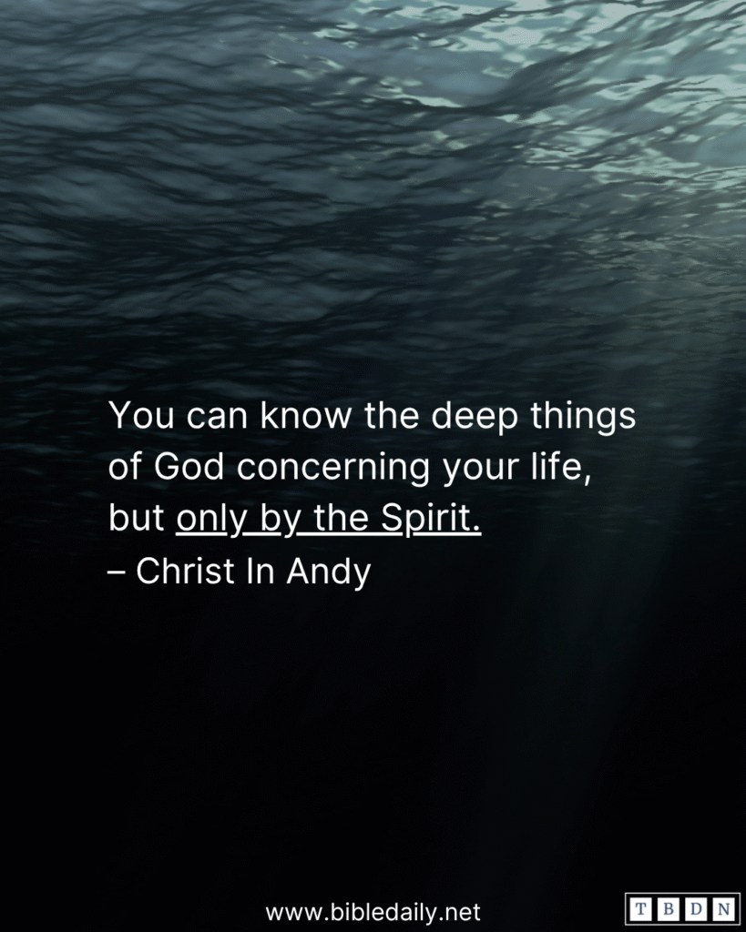 Devotional - The Spirit Searches All Things