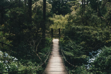 FI - God Will Lead You in the Paths of Righteousness