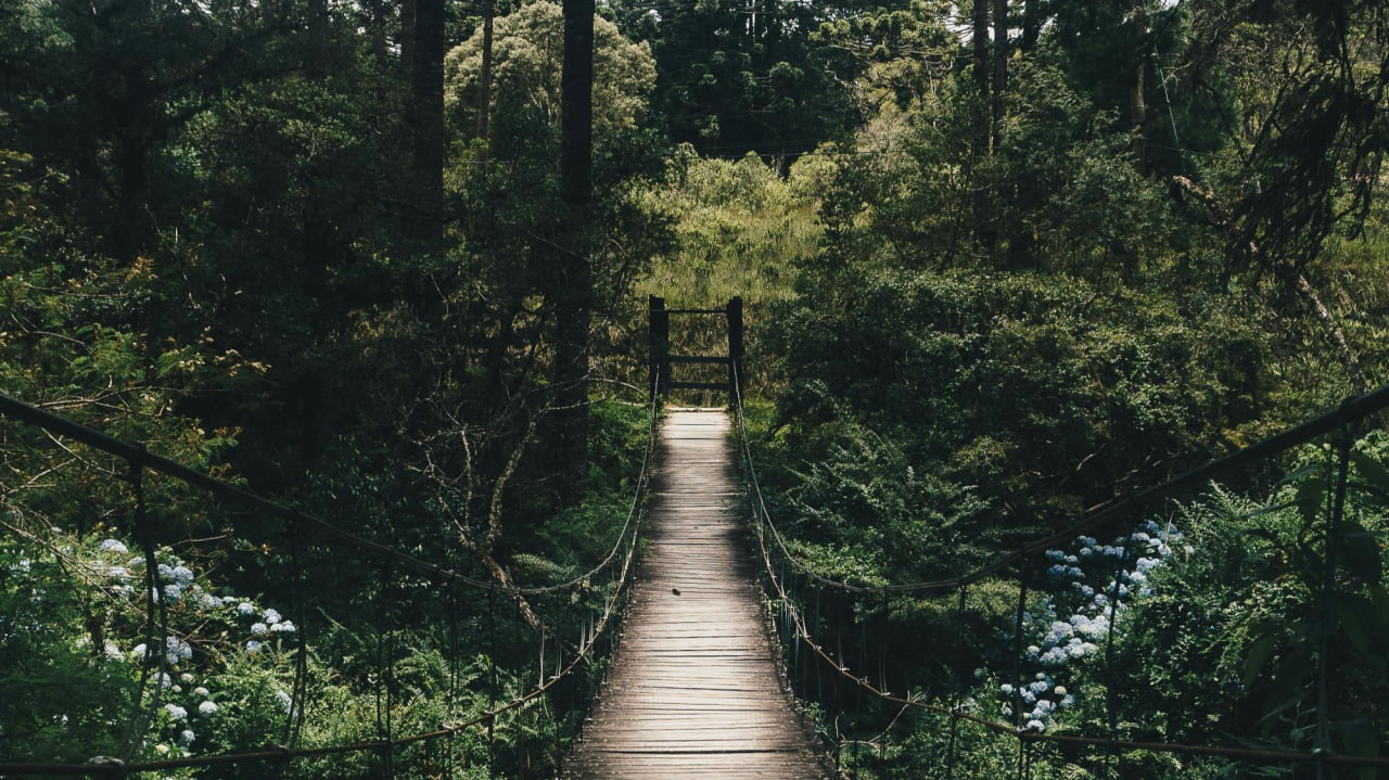FI - God Will Lead You in the Paths of Righteousness