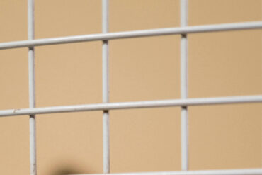 FI - How to Purge Yourself of Your Insecurity Thoughts - Priscilla Laryea